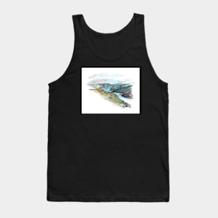 Lake Wakatipu from Remarkables Watercolour Tank Top